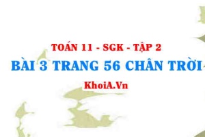 Bài 3 trang 56 Toán 11 Tập 2 Chân trời sáng tạo